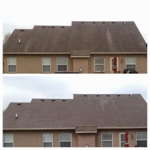 Before and After Roof washing