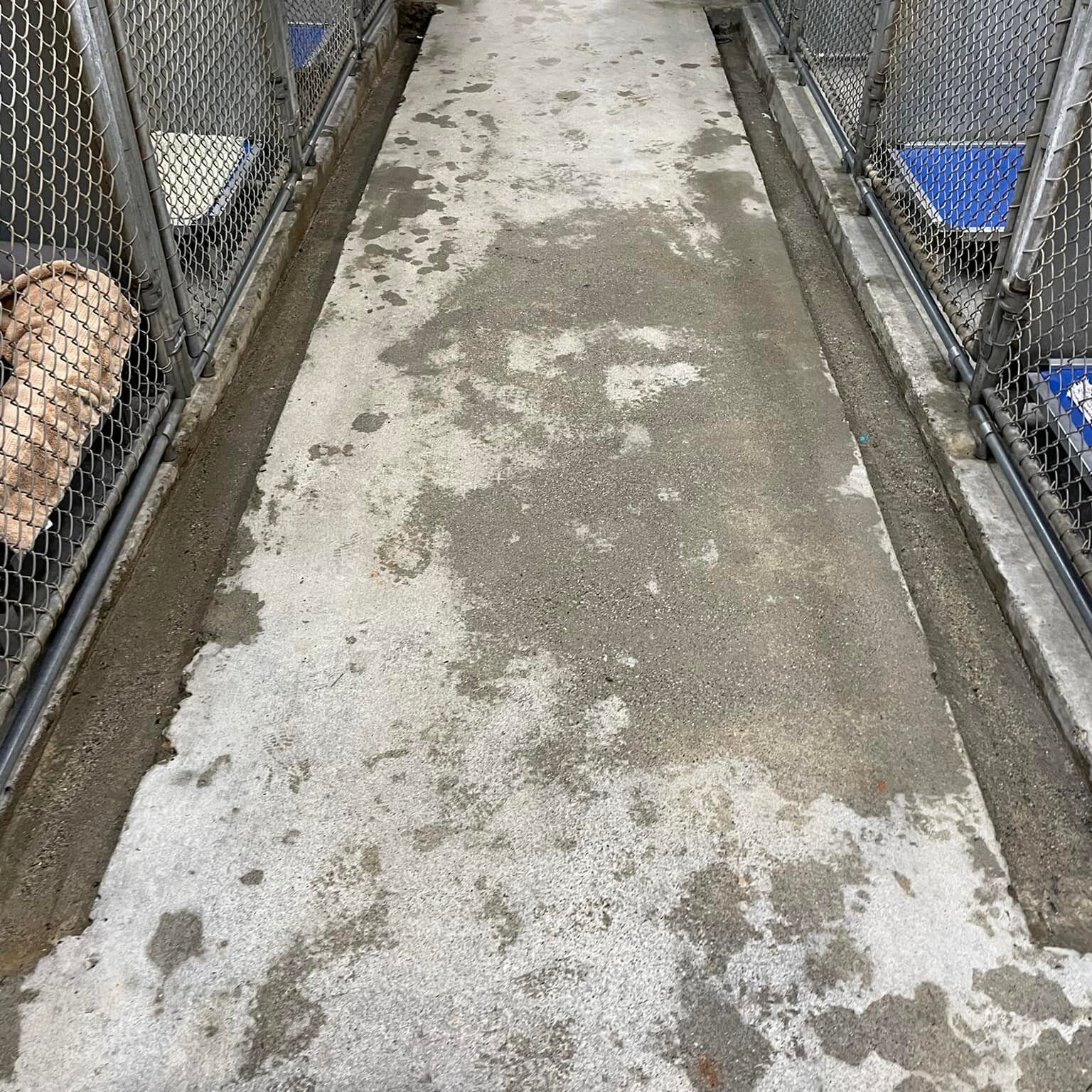 Commercial Concrete Pressure Washing in Jasper GA by ProWash 88 Pressure Washing Service